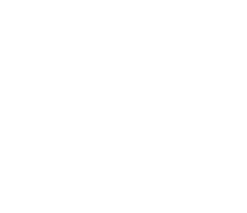 thebraziliandetox.com